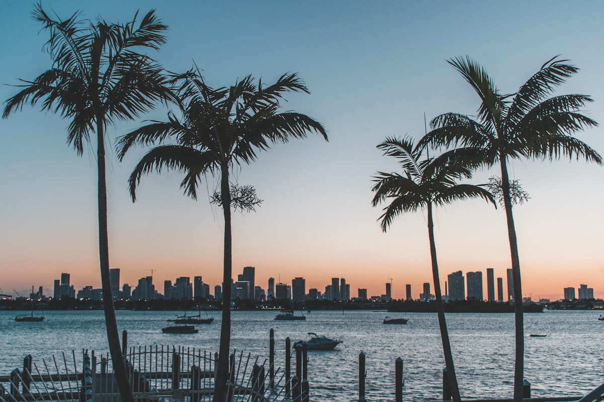 What's Happening in Tampa Bay This March (2026)